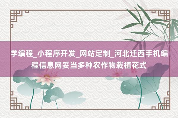 学编程_小程序开发_网站定制_河北迁西手机编程信息网妥当多种农作物栽植花式