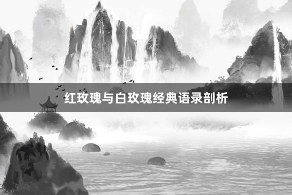 红玫瑰与白玫瑰经典语录剖析