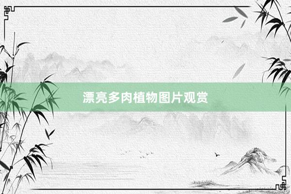 漂亮多肉植物图片观赏